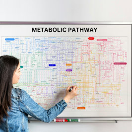 Metabolisk väg för cellen poster
