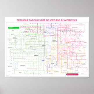 Metabolisk väg för syntesen av antibiotcis poster