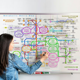 Metabolisk väg tunnelbanan karta poster