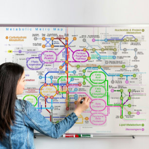 Metabolisk väg tunnelbanan karta poster