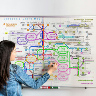 Metabolisk väg tunnelbanan karta poster