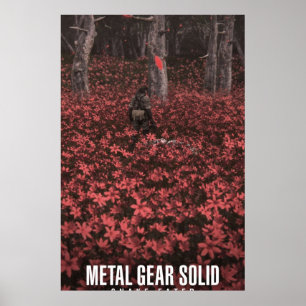 Metal Gear Solid Big Boss And The Boss Poster