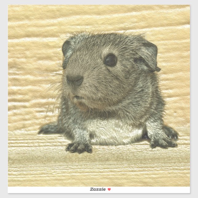 metall guinea gris klistermärken (Ark)