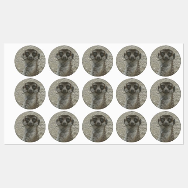 metall meerkat klistermärke (Ark)