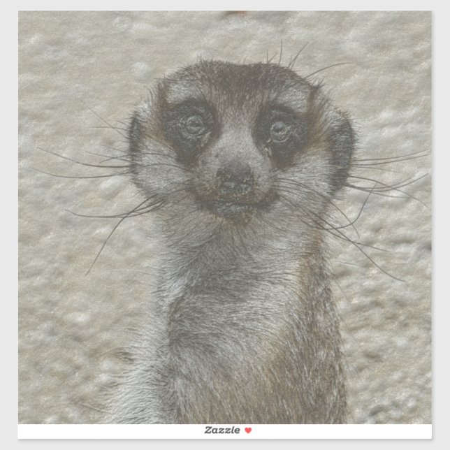 metall meerkat klistermärken (Ark)