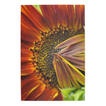 Metall Wall Art-solros