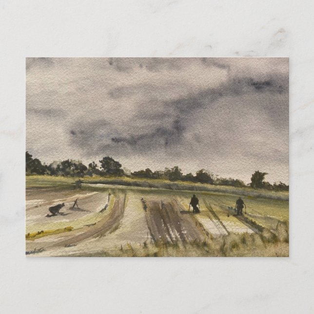 Metalldetektering i fälten 2 vykort (Framsida)