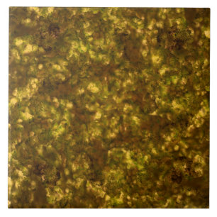 Metallisk avsmalare Guld Kakelplatta