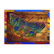 Metallisk regnbåge Land Butterfly