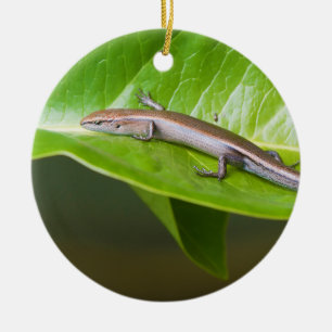Metalliska kalla Skink Niveoscincus Metallicus Julgransprydnad Keramik