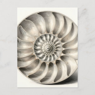 Metalliskt Nautilus-skal Spiralgeometrisk Vykort