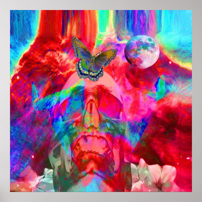 Metamorfos för livslängd poster (Framsidan)