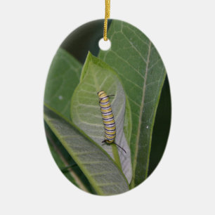 Metamorfos Ornament