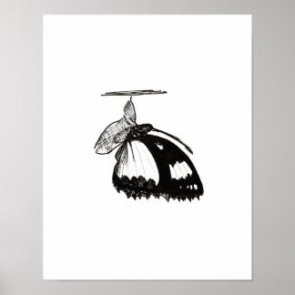 Metamorfos Poster