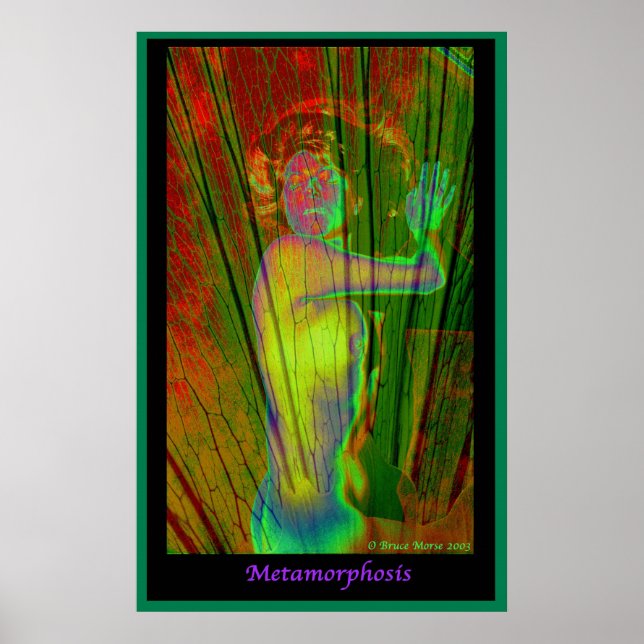 Metamorfos Poster (Framsidan)