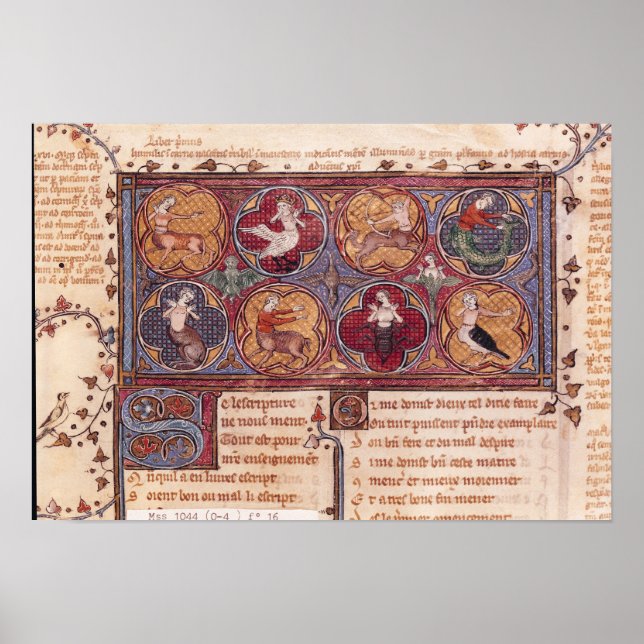 Metamorfoser från Ovid Moralize Poster (Framsidan)