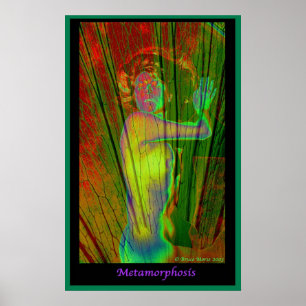 Metamorphosis Poster
