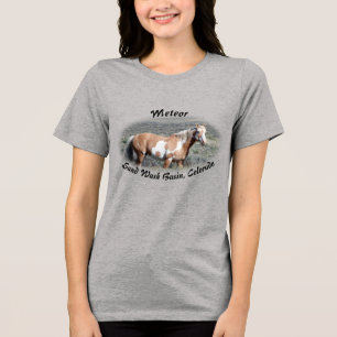 Meteor för sandavrinningsområde (Sand Tvätta Basin T Shirt