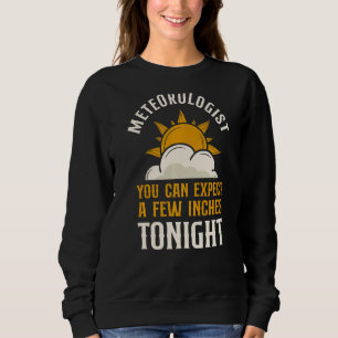 Meteorologer Weather Forecast Meteorology Pun Vin T Shirt