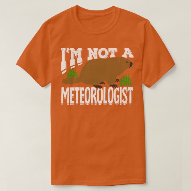 Meteorologi Meteorolog Gift T Shirt (Design framsida)