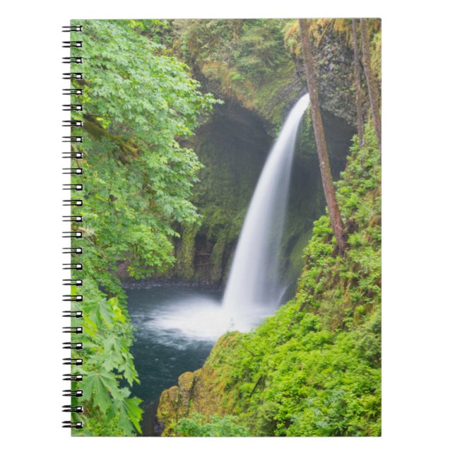 Metlako Falls Anteckningsbok (Framsidan)