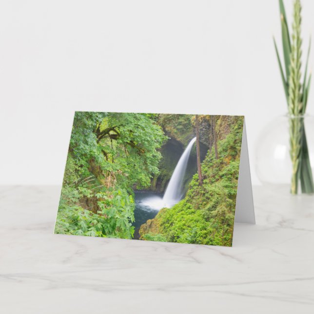 Metlako Falls Kort (Framsida)