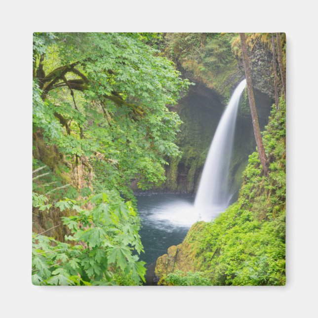 Metlako Falls Magnet (Framsidan)