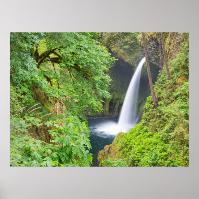 Metlako Falls Poster (Framsidan)
