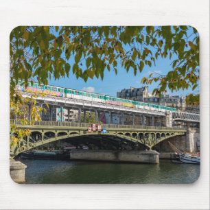 Metro på Bir-Hakeim bridge- Paris, Frankrike Musmatta