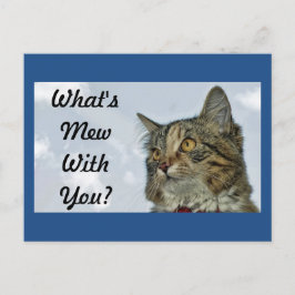 Mew Cat Vykort