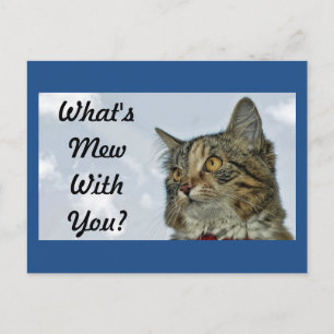 Mew Cat Vykort