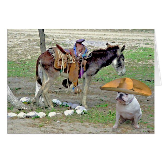 Mexicansk bulldogg hälsningskort (Framsidan Horizontal)