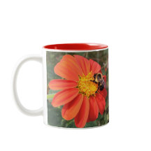 Mexicansk solros och bi