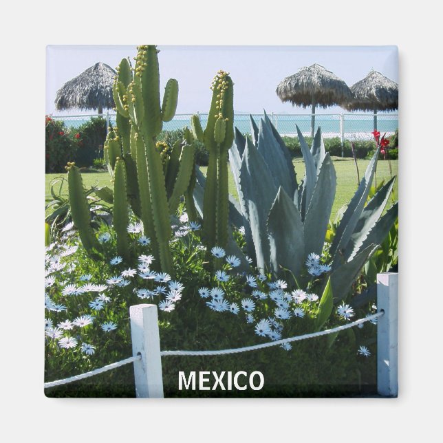 MEXICO CACTI MAGNET (Framsidan)