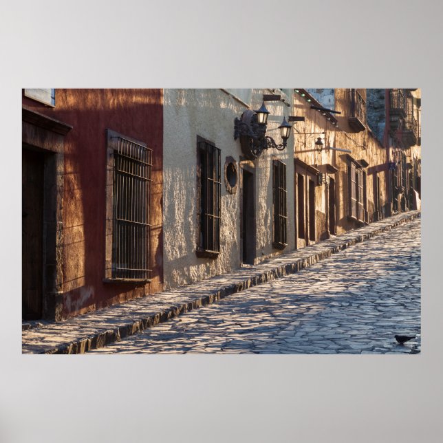 Mexico Cobblestone Street Poster (Framsidan)
