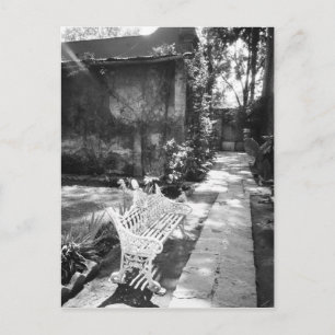 MEXICO, D.F., Mexico City, COYOACAN: Bänk vid Vykort