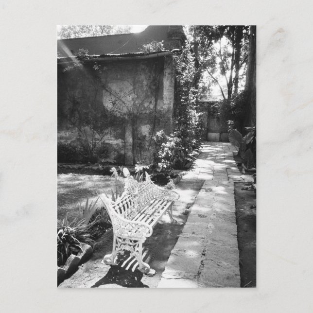 MEXICO, D.F., Mexico City, COYOACAN: Bänk vid Vykort (Framsida)