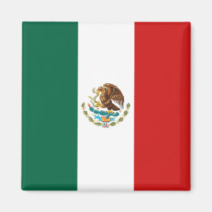 Mexico flaggamagnet magnet