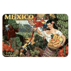 Mexico vintage resormagnet magnet