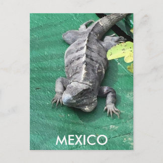 Mexico vykort