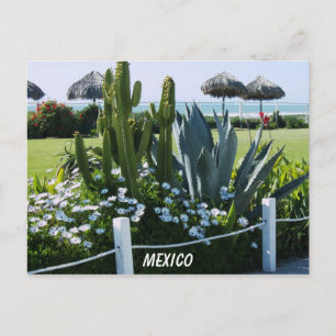 MEXICO VYKORT