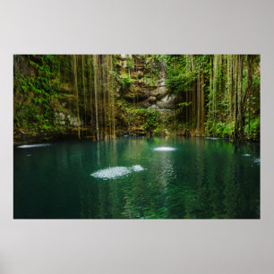 Mexico Yucatan, scenisk sjö Poster