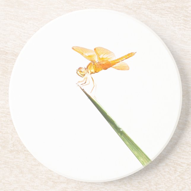 Mexikansk amber-vinge Dragonfly Underlägg (Framsidan)