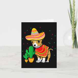 Mexikansk Chihuahua Hund Sombrero Cinco De Mayo Fe Kort