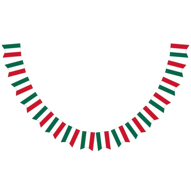 Mexikansk flagga banderoll (Alla)