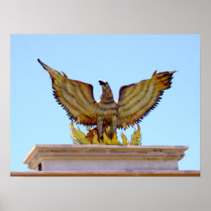 Mexikansk guldörn poster