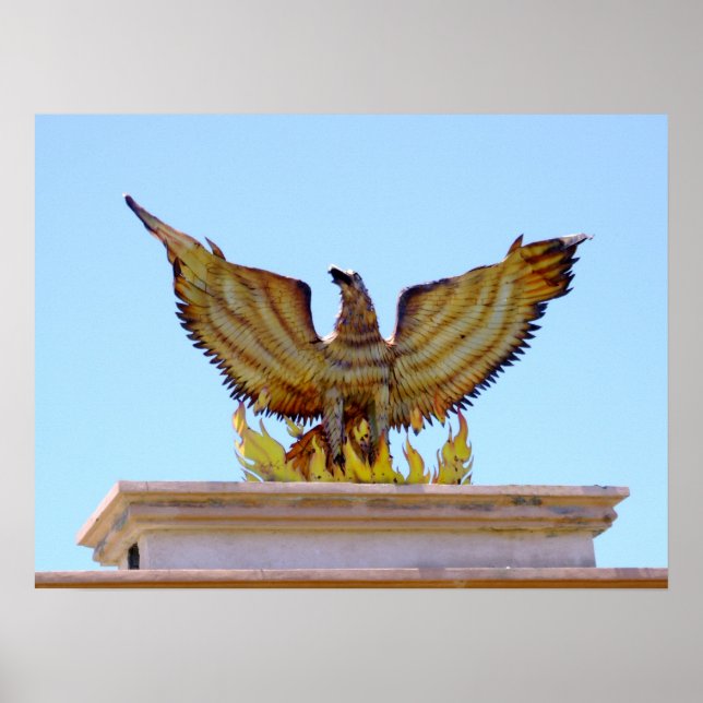 Mexikansk guldörn poster (Framsidan)