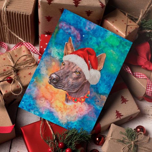 Mexikansk hårlös ras hund jul helg vykort (Skapare uppladdad)