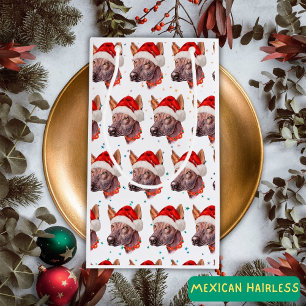 Mexikansk Nakenhund Julstjärnor