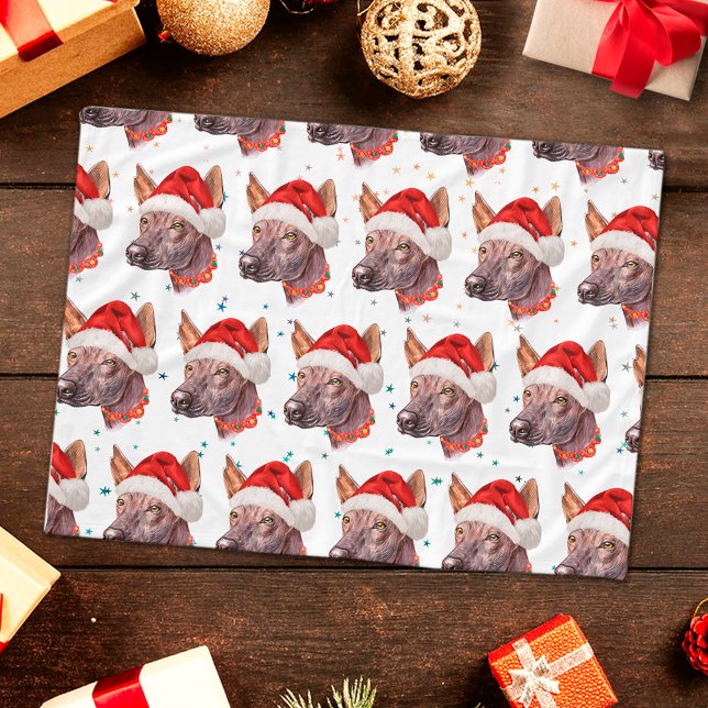 Mexikansk Nakenhund Julstjärnor Fleecefilt (Skapare uppladdad)